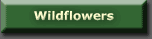 Go To Flowers
